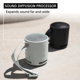 Sony SRS-XB100 with strap attached, easy to carry and secure on gear
