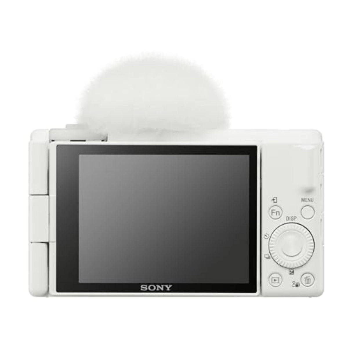 Sony ZV-1F Eye AF and tracking keep subjects sharp during action.
