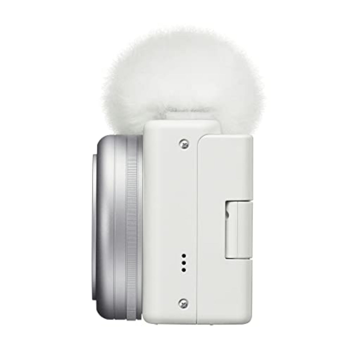 Sony ZV-1F wind-screen accessory supports outdoor shoots.