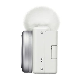 Sony ZV-1F wind-screen accessory supports outdoor shoots.
