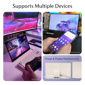 SOTSU FlipAction Go 14 Mini HDMI inputs connect cameras and monitors
