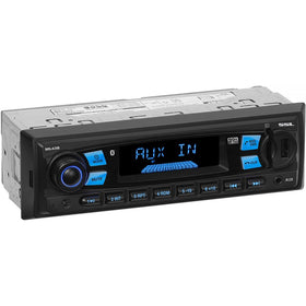 Sound Storm ML43B detachable front panel for easy access and secure installation.