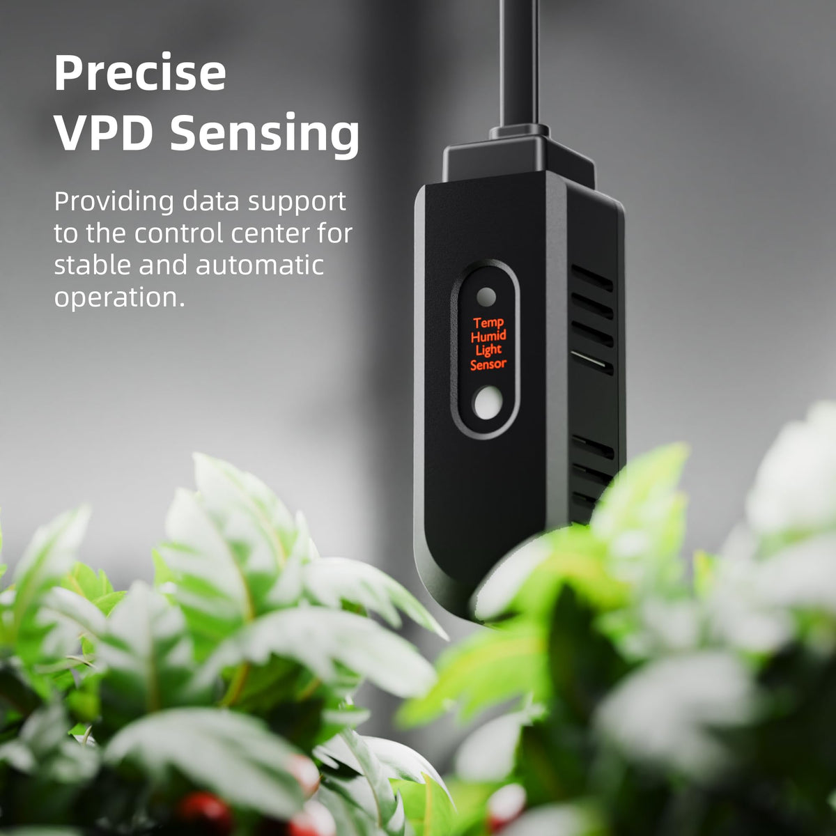Spider Farmer GGS AC10 soil moisture sensor close-up beside a plant.