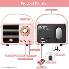 SpringFlora AUX and TF card input adds versatile playback options.