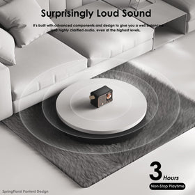 SpringFlora top view highlights compact dimensions ideal for shelves and desks.