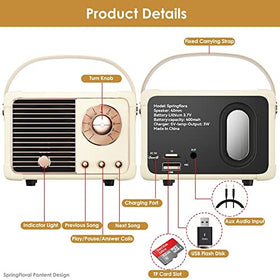 Compact battery design of the SpringFlora speaker for quick listening.