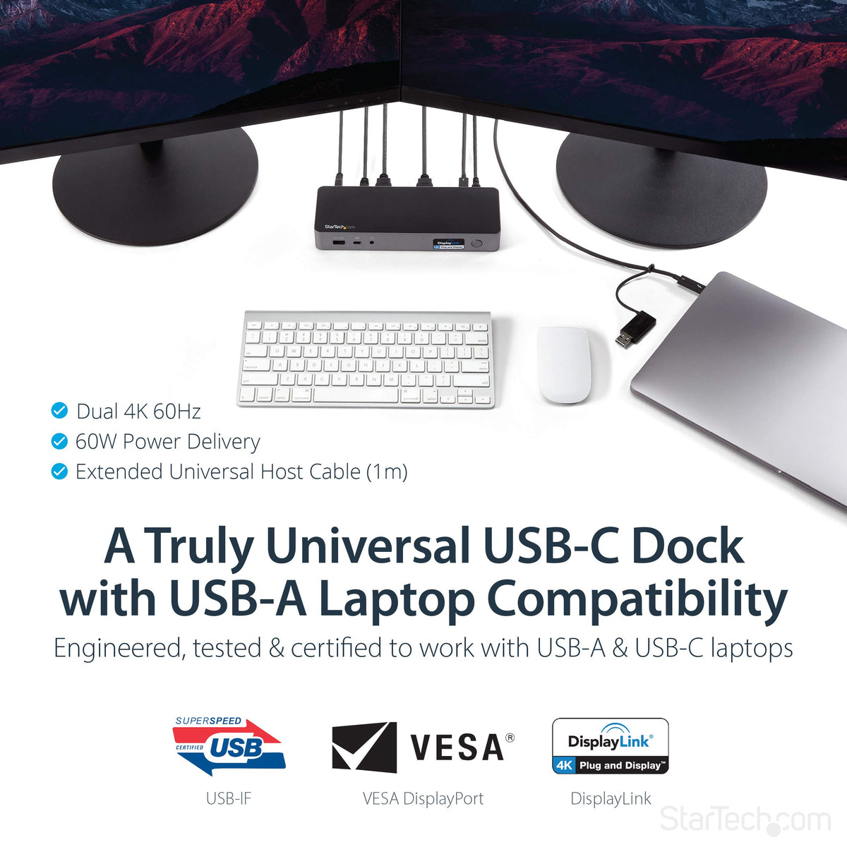 StarTech.com hybrid dock rear ports showing HDMI and DisplayPort outputs for versatile monitors.