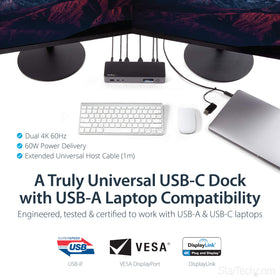 StarTech.com hybrid dock rear ports showing HDMI and DisplayPort outputs for versatile monitors.