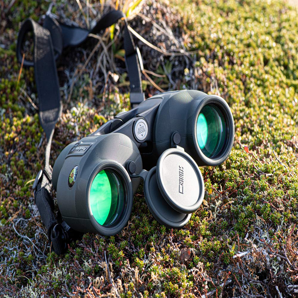 Steiner Predator AF provides bright 3-D depth and detail
