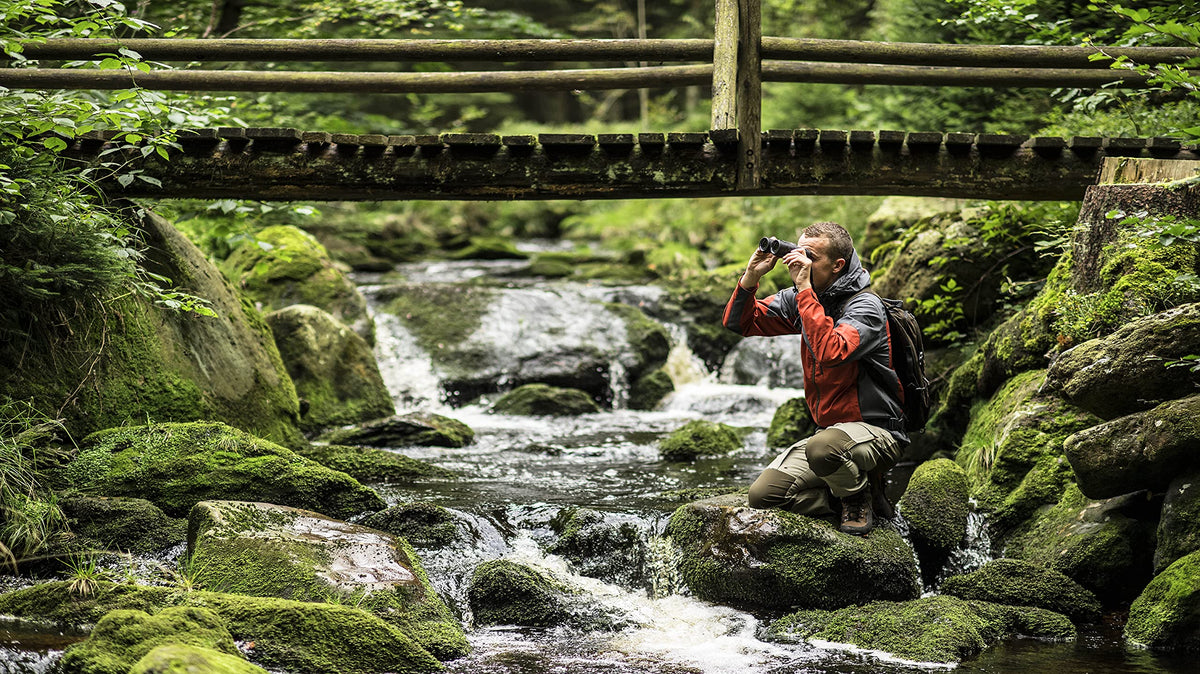 Steiner Safari UltraSharp binocular field view for expansive outdoor sights