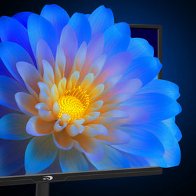 STGAubron display with HDMI and VGA ports for easy setup.