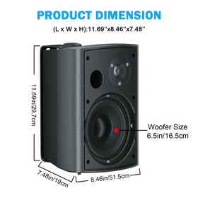 StudioFinix woofer-tweeter closeup showing crisp highs and solid bass.