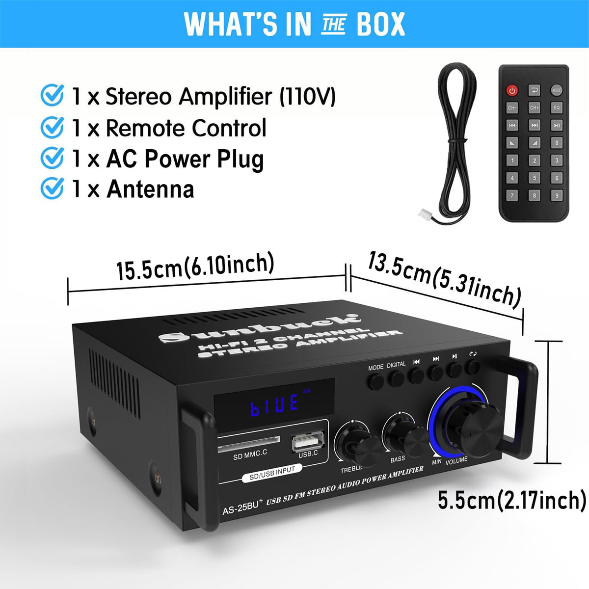 Sunbuck AS-25BU speaker connections enable a clean two-channel setup.