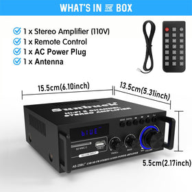 Sunbuck AS-25BU speaker connections enable a clean two-channel setup.
