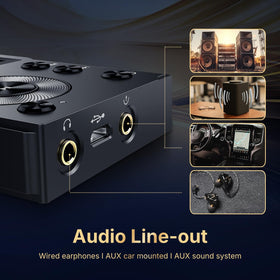 Surfans F20 line-out jack for car or home audio connection.