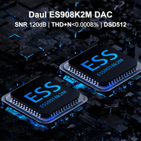 Surfans F20 Pro dual ESS9018 DAC close-up for detailed, low-distortion sound.