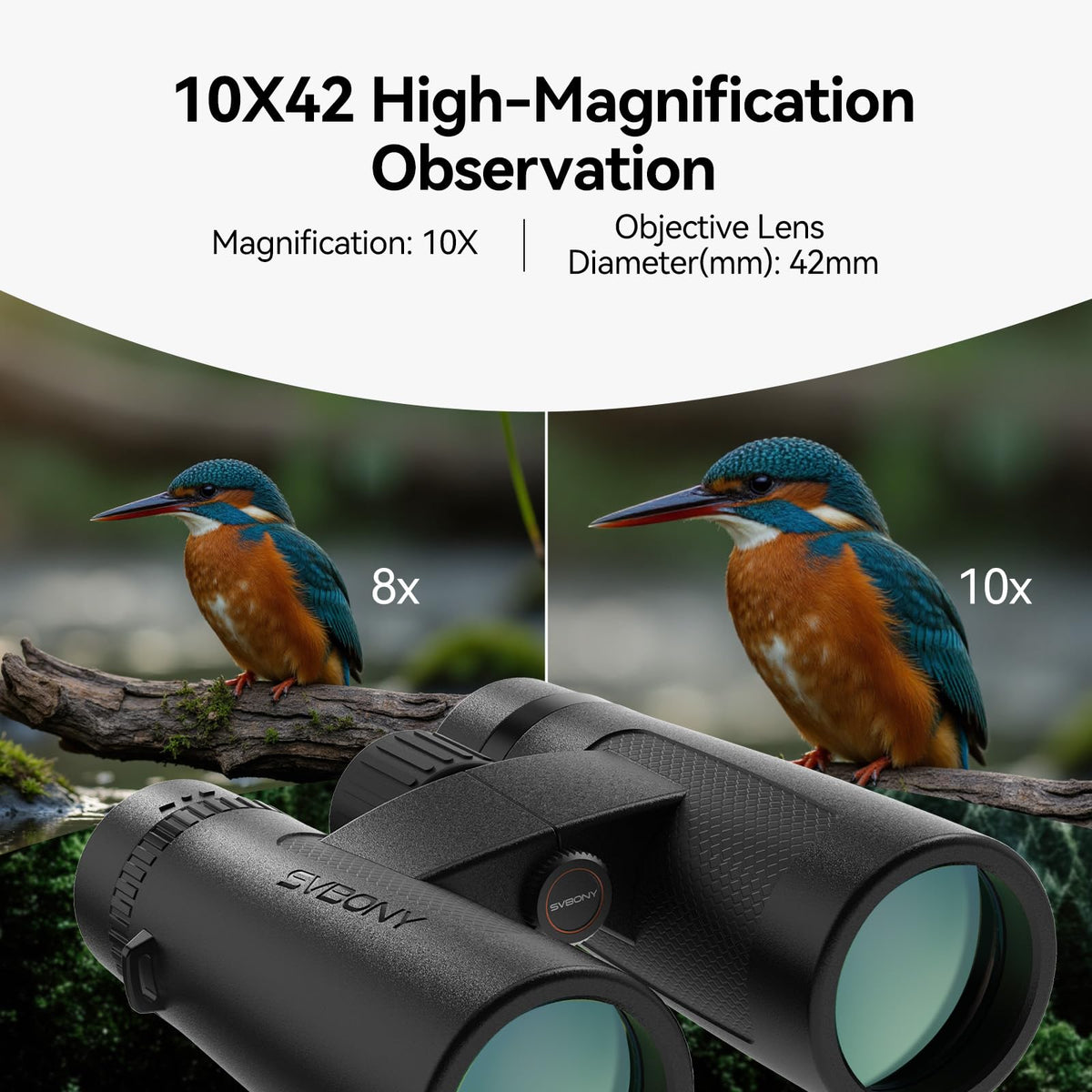 SVBONY SV202 wide field of view captures expansive seabird scenery