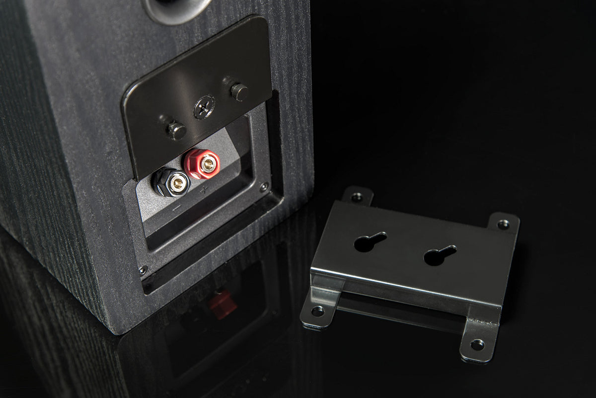 SVS Prime Elevation mount hardware and installation features.