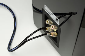 SVS SoundPath Ultra shielding reduces interference for clearer audio.