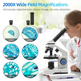 SWIFT microscope offers 80x-2000x magnification for crisp detail.
