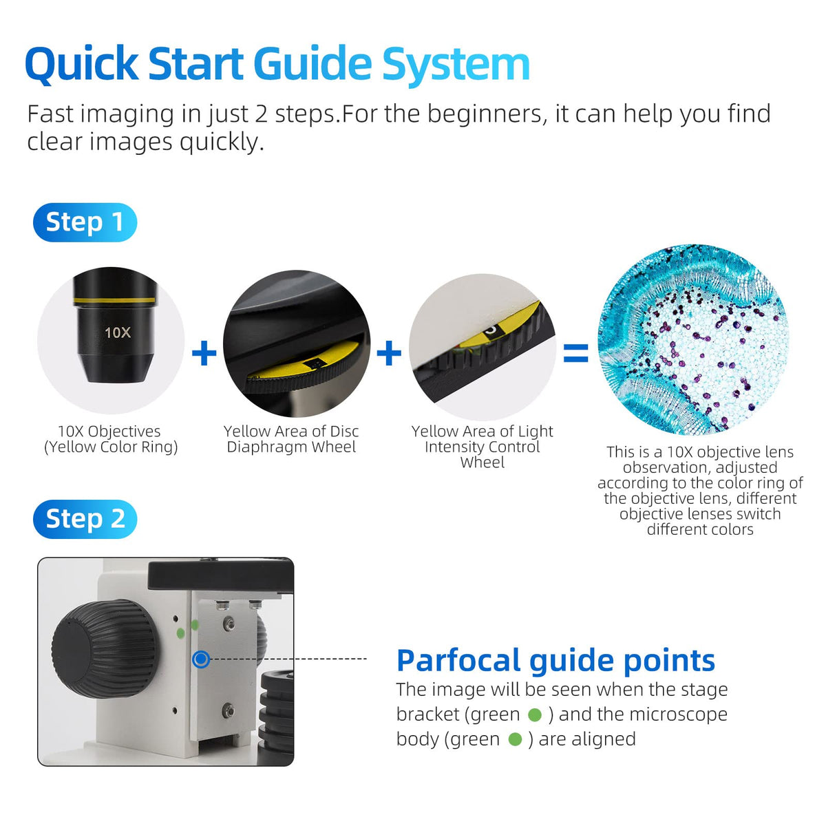 SWIFT microscope dual-light system illuminates slides and solid samples clearly.