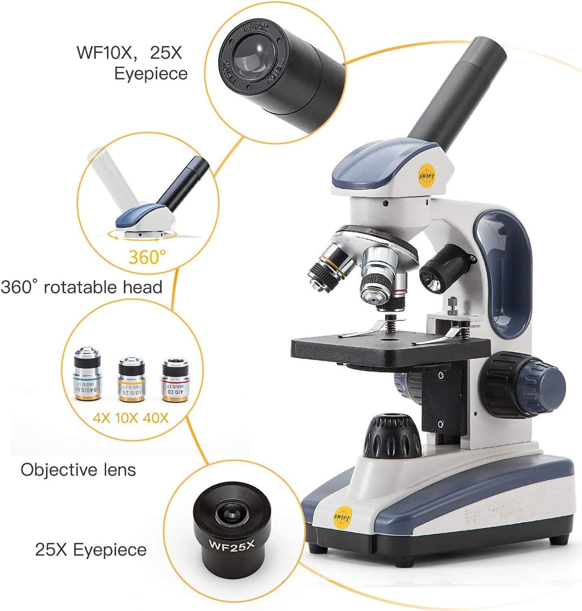 SWIFT SW200DL precision fine focus highlights sharp specimen detail.