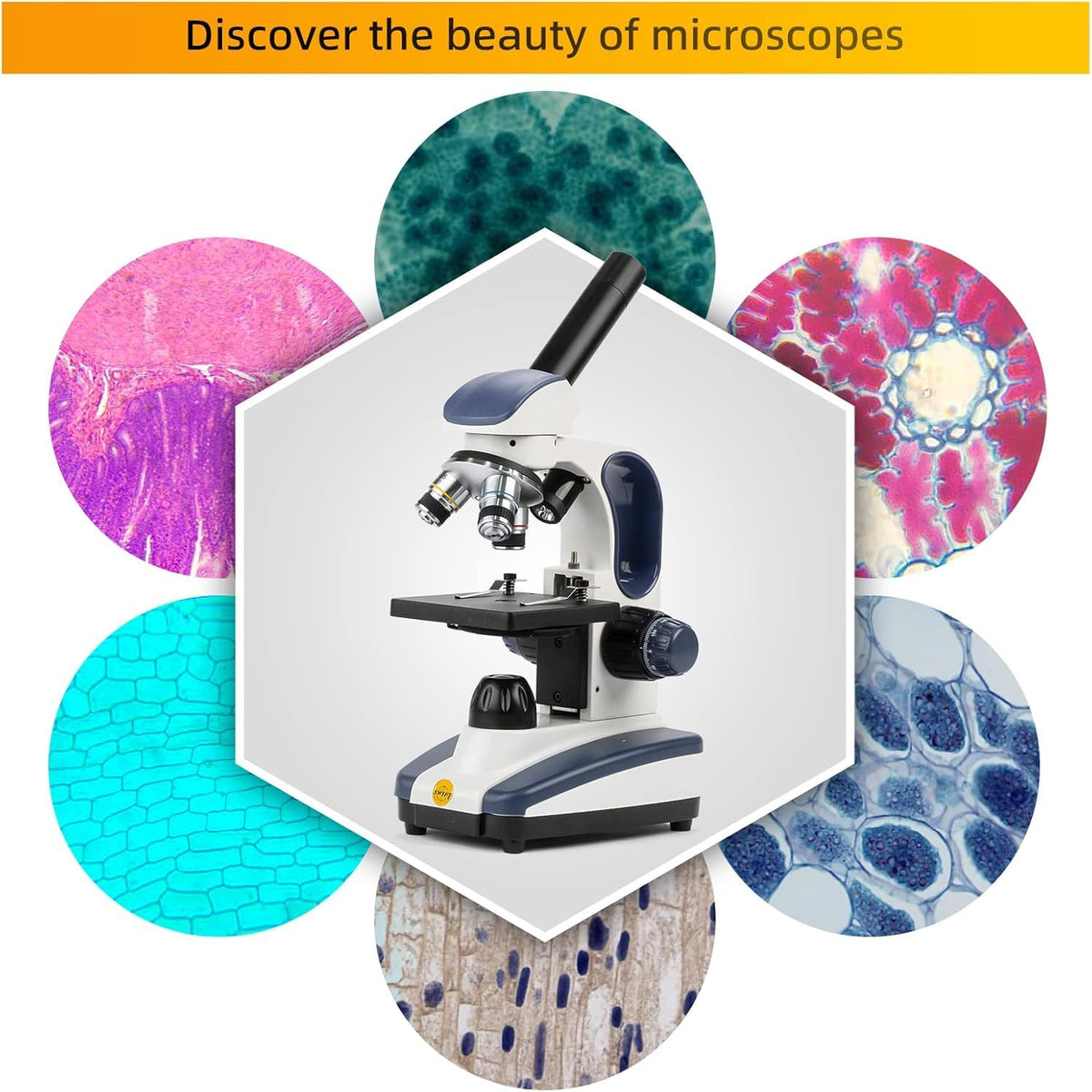 SWIFT SW200DL wide-field eyepieces provide comfortable high magnification viewing.