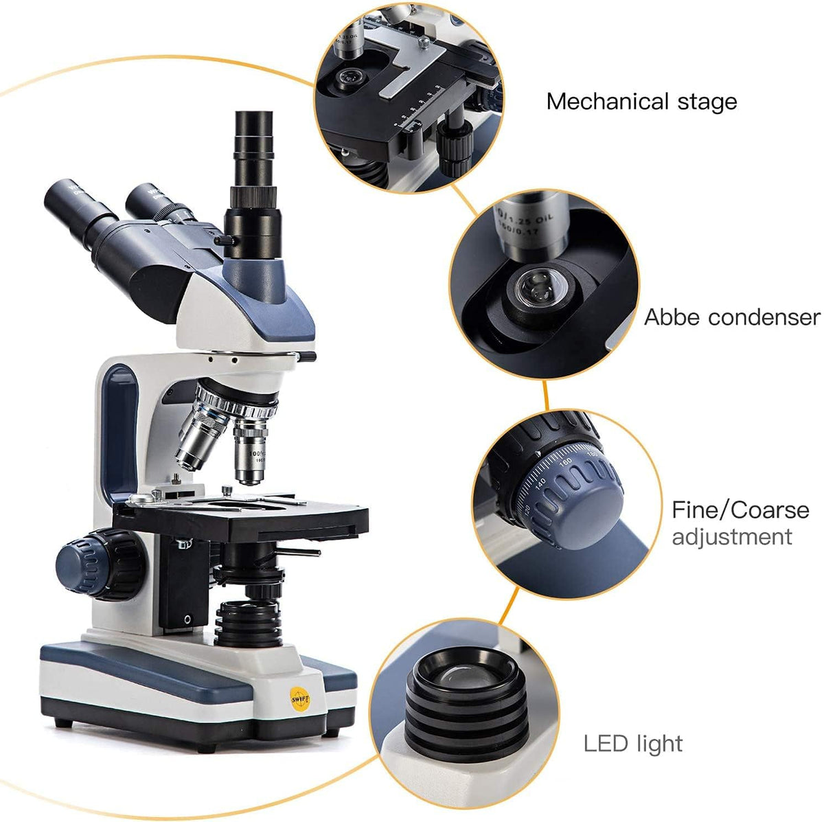 Swift SW350T double-layer mechanical stage provides stable slide mounting.