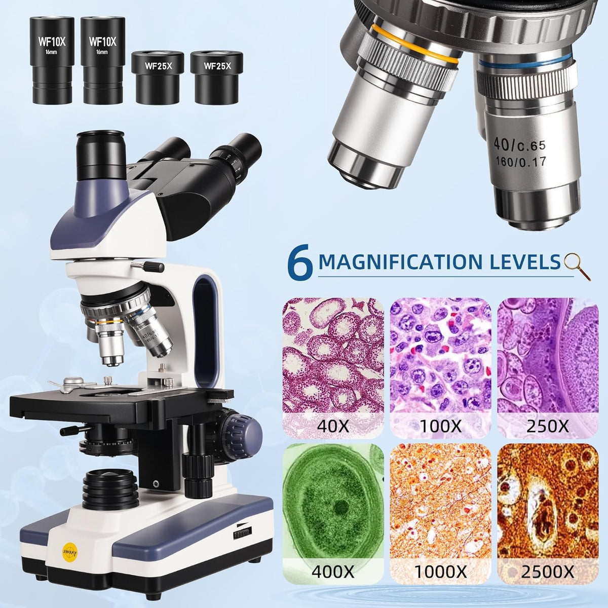 Swift SW350T 100X oil objective for detailed cellular visualization