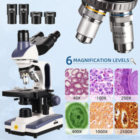 Swift SW350T 100X oil objective for detailed cellular visualization