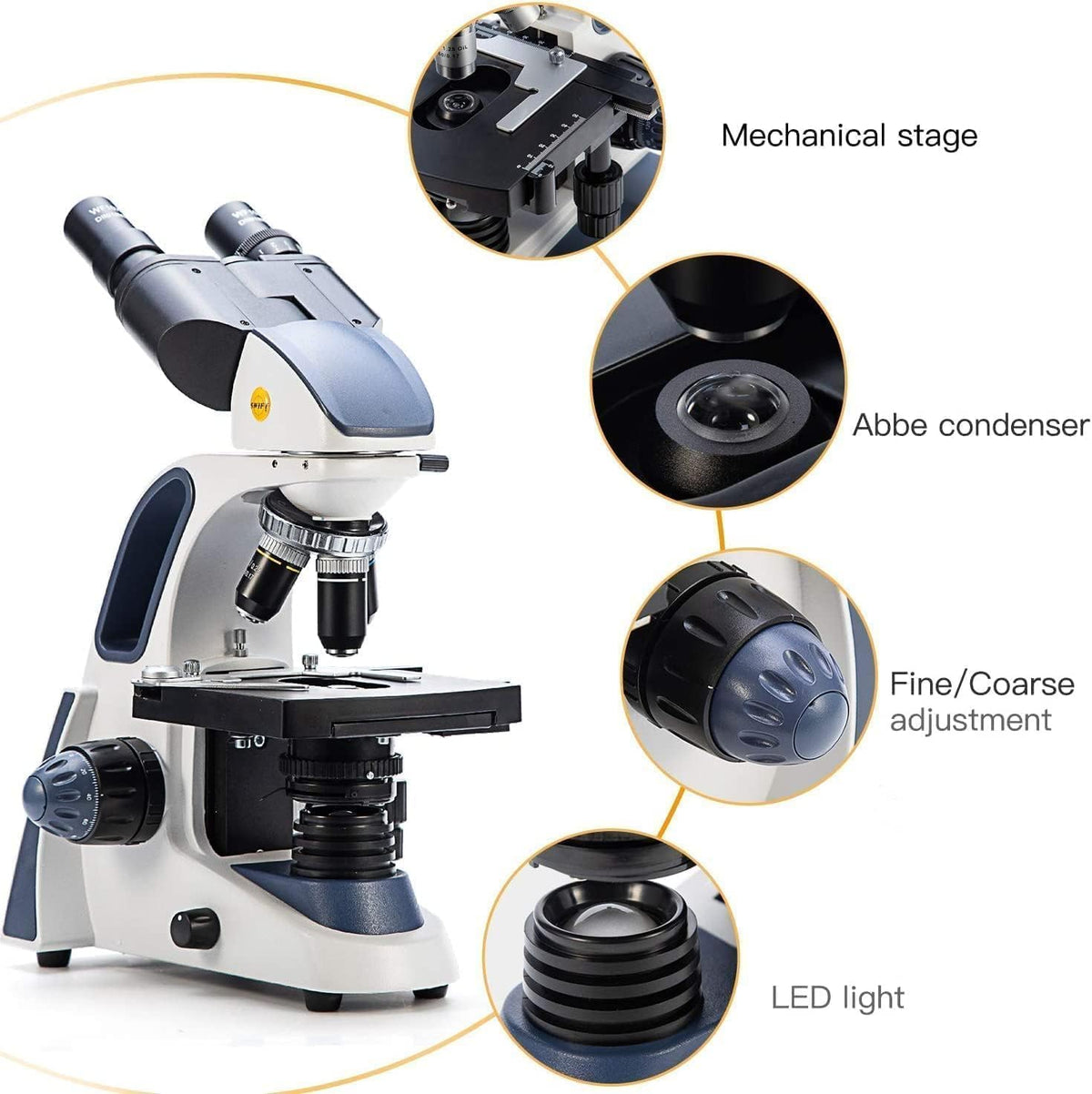 SWIFT SW380B binocular head rotation enables shared use in labs.