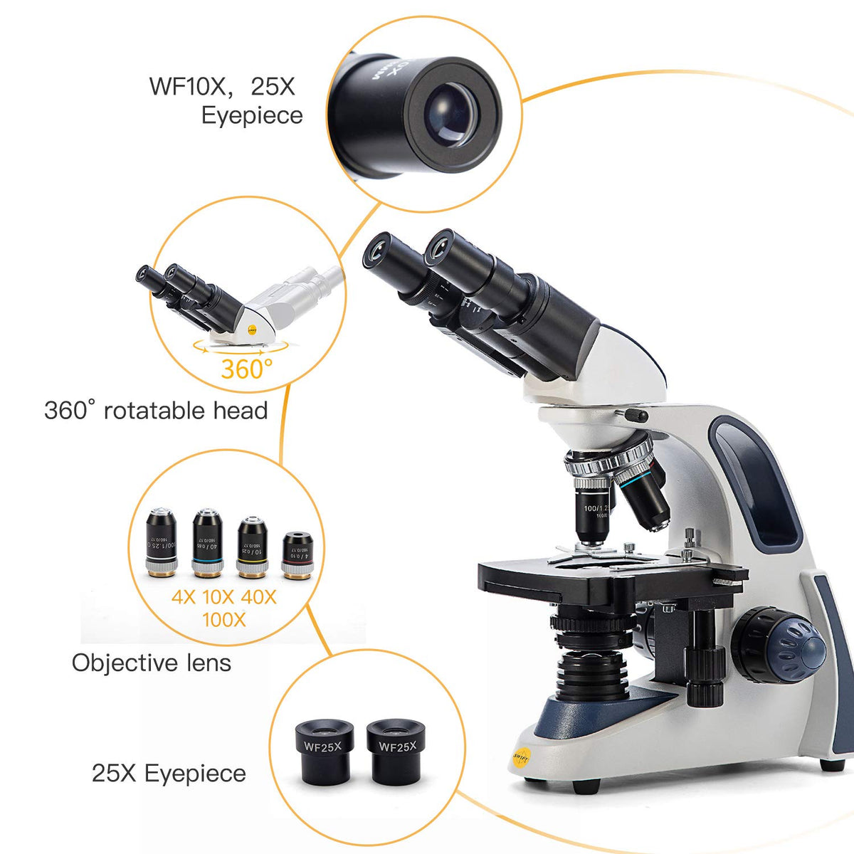 SWIFT SW380B interchangeable eyepieces 10X and 25X deliver wide field viewing.