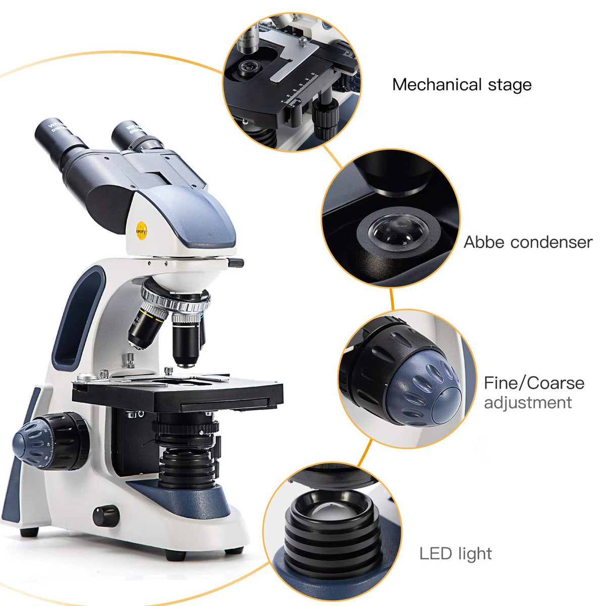 SWIFT SW380B turret with six magnifications offers versatile specimen inspection.