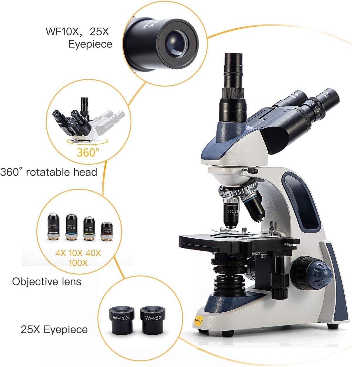 Swift SW380T Siedentopf head for shared viewing and ergonomic adjustments.