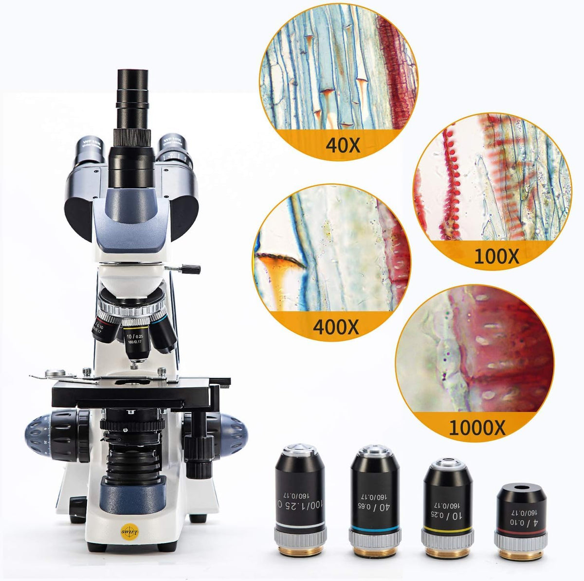 Swift SW380T six-magnification range enables detailed slide analysis.