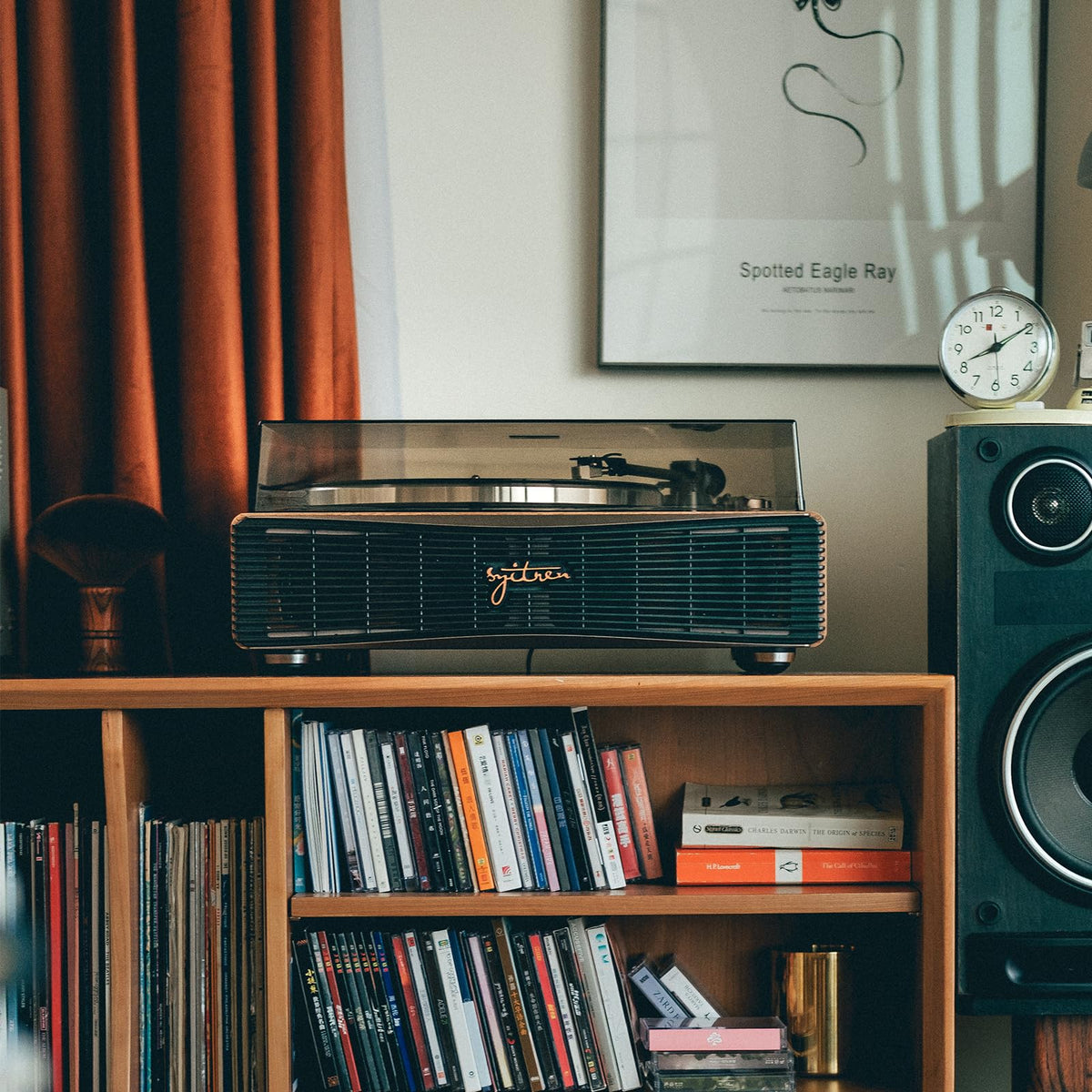 Syitren Paron supports Bluetooth and Aux for versatile listening options.