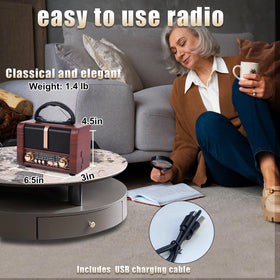 T.TAOMI Retro Radio back panel with accessible controls
