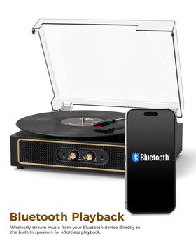 TANLANIN AUX input ready for quick device playback