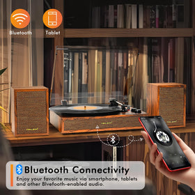 TANLANIN rear panel with RCA and aux ports for versatile connectivity