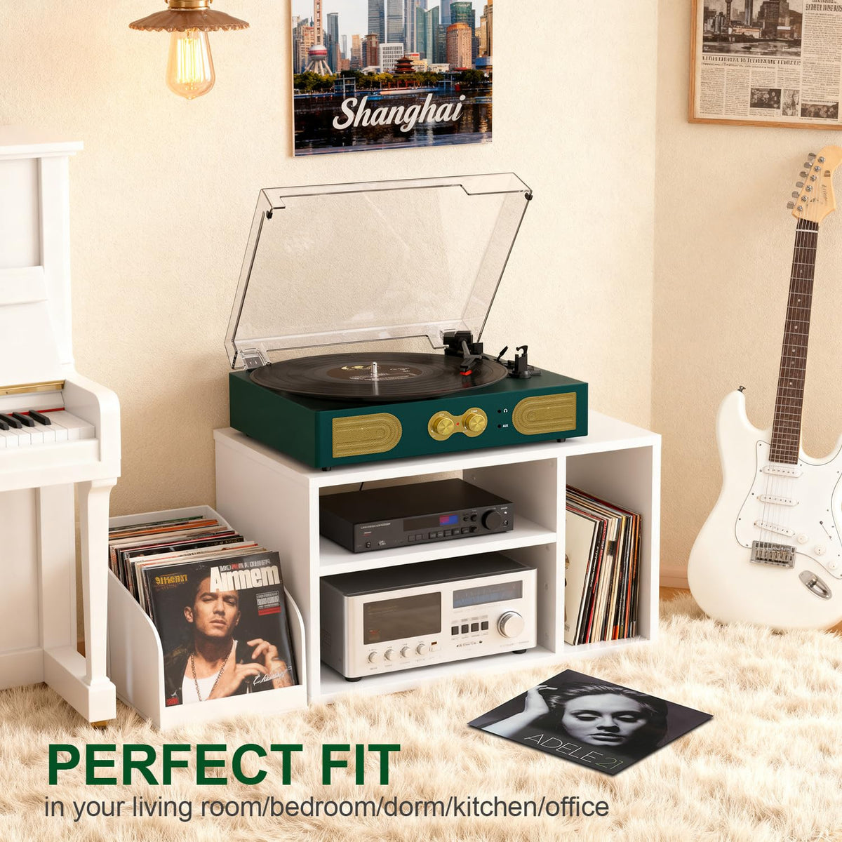 TANLANIN belt-driven anti-vibration system minimizes skips for smooth playback.