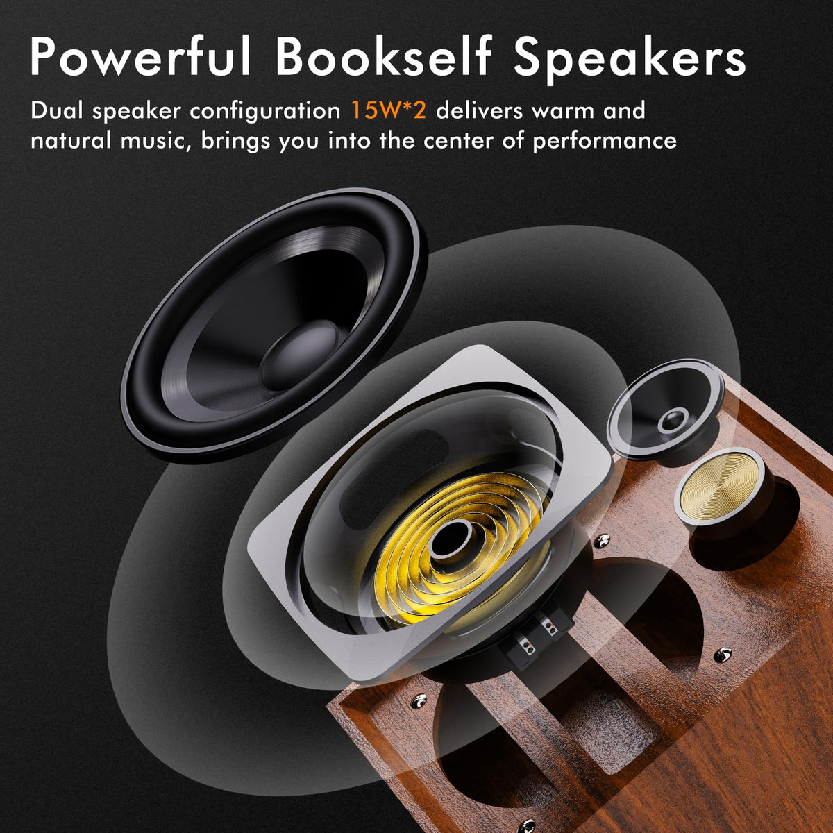 TANLANIN dust cover open while playing a record for protected playback