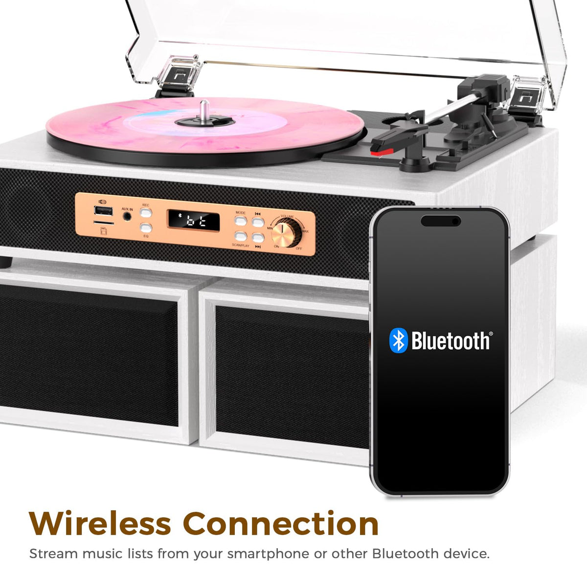 Tanlanin Bluetooth, AUX, and RCA for flexible setups