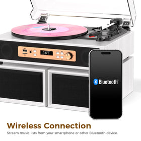 Tanlanin Bluetooth, AUX, and RCA for flexible setups