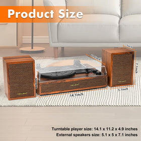 TANLANIN in a living room setting for relaxed analog and Bluetooth listening