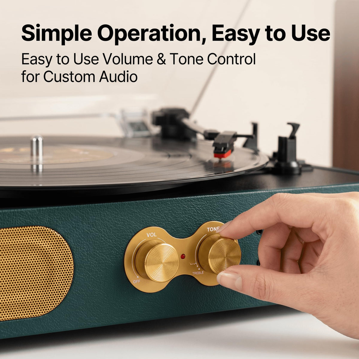 TANLANIN RCA and AUX outputs connect to external speakers for bigger sound.