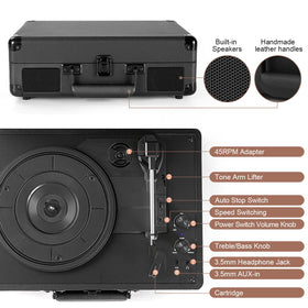 TANLANIN rear view of connection ports showing RCA, AUX and power for flexible hookups
