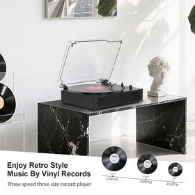TANLANIN next to a vinyl record indicating compact scale for small spaces