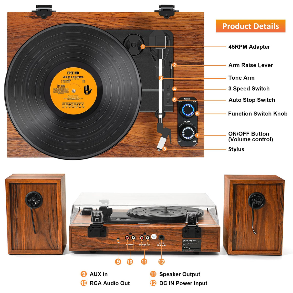 TANLANIN next to vinyl sleeve to show scale and record compatibility