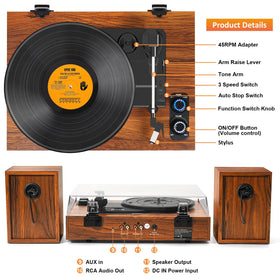 TANLANIN next to vinyl sleeve to show scale and record compatibility