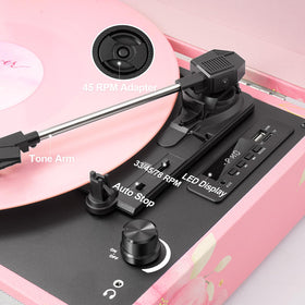 TANLANIN USB and TF ports with controls show recording capability and flexible media benefit